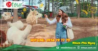 Tour giá rẻ  Đà Lạt 1990000VNĐ (03 ngày 03 đêm) khởi hành từ Rạch Giá - Kiên Giang