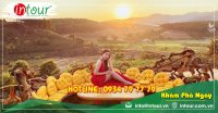 Tour Đà Lạt đi Huế - Quảng Trị - Quảng Bình - Vinh (4 ngày 3 đêm) 3250000VNĐ