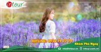 Tour Đà Lạt - Lâm Đồng đi Đảo Phú Quốc (4 ngày 3 đêm) 2590000VNĐ