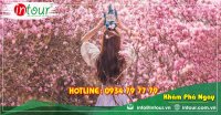 Tour Đà Lạt đi Đà Nẵng - Hội An - Bà Nà - Huế - Phong Nha 3390000VNĐ (4N3Đ)