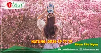 Tour Đà Lạt đi Đà Nẵng - Hội An - Bà Nà - Huế - Phong Nha 3390000VNĐ (4N3Đ)