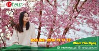 Tour Đà lạt đi Đà Nẵng - Hội An - Bà Nà - Huế 3250000VNĐ (4 ngày 3 đêm)