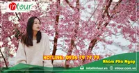 Tour Đà lạt đi Đà Nẵng - Hội An - Bà Nà - Huế 3250000VNĐ (4 ngày 3 đêm)