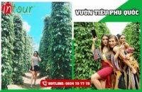 Tour Châu Đốc (An Giang) đi Đảo Phú Quốc (3 ngày 2 đêm) 2480000VNĐ