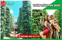 Tour Châu Đốc (An Giang) đi Đảo Phú Quốc (3 ngày 2 đêm) 2480000VNĐ