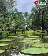 Tour Mỹ Tho - Cà Mau - Bạc Liêu - Sóc Trăng - Cần Thơ (4N3Đ) 2.990.000VNĐ