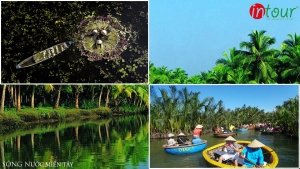 Tour giá rẻ Tiền Giang - Mỹ Tho - Bến Tre 1 ngày 390.000VNĐ