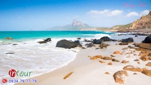 Tour Teambuilding biển + Gala Lunch Long Hải 490.000VNĐ (1 ngày)