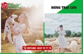 Tour Bình Châu - Vũng Tàu KS 3* 1.390.000VNĐ (2 ngày 1 đêm) - Cho khách lẻ ghép đoàn