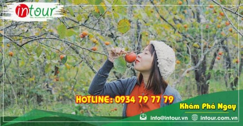 Tour giá rẻ Nha Trang - Đà Lạt 2.590.000VNĐ (4 ngày 4 đêm)