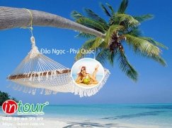 Tour Vũng Tàu - Phú Quốc đi bằng xe + Tàu 2.690.000VNĐ (03 ngày 03 đêm)
