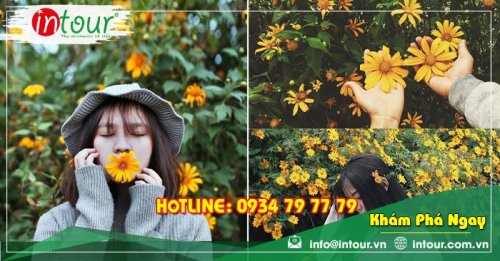 Tour Team Building  Đà Lạt khởi hành Long An 1.650.000VNĐ (03 ngày 03 đêm)