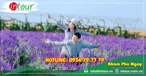 Tour Team Building Đà Lạt khởi hành từ Hà Tiên 1.950.000VNĐ (03 ngày 03 đêm)