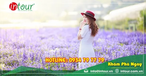Tour Mỹ Tho đi Nha Trang - Đà Lạt 2.690.000VNĐ (04 ngày 04 đêm)