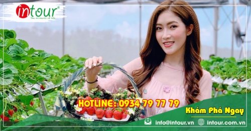 Tour Nha Trang - Đà Lạt khởi hành từ Đồng Tháp 2.750.000VNĐ (4N4Đ)