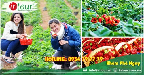 Tour Nha Trang - Đà Lạt khởi hành từ Cần Thơ 2.790.000VNĐ (4N4Đ)