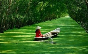 Tour giá rẻ Quảng Bình - Miền Tây (4 ngày 3 đêm) - Giá tốt nhất VN