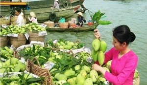 Tour Nghệ An (Vinh) - Châu Đốc - Hà Tiên - Cần Thơ (04 ngày 03 đêm) - Giá rẻ nhất VN