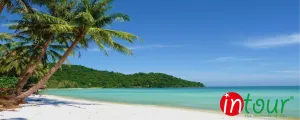 Tour Vĩnh Phúc - Đà Nẵng - Hội An - Bà Nà - Huế 3.250.000VNĐ (4 ngày 3 đêm)
