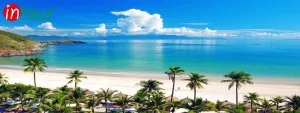 Tour Hải Dương - Đà Nẵng - Hội An - Bà Nà - Huế 3.250.000VNĐ (4 ngày 3 đêm)