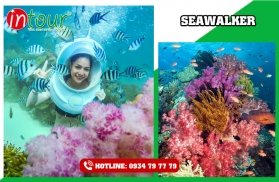 Tour Nam Định - Phú Quốc - Miền Tây (6 ngày 5 đêm) - Khởi hành từ Nam Định giá rẻ nhất VN