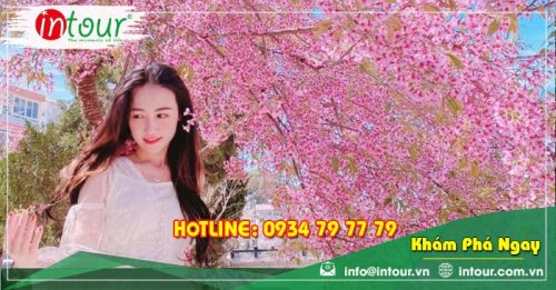 Tour giá rẻ Thái Bình - Đà Lạt 1.680.000VNĐ (3 ngày 2 đêm)