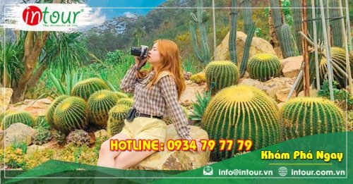Tour giá rẻ Thanh Hóa - Đà Lạt 1.680.000VNĐ (3 ngày 2 đêm)