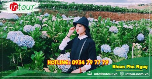 Tour giá rẻ Ninh Bình - Đà Lạt 1.680.000VNĐ (3 ngày 2 đêm)