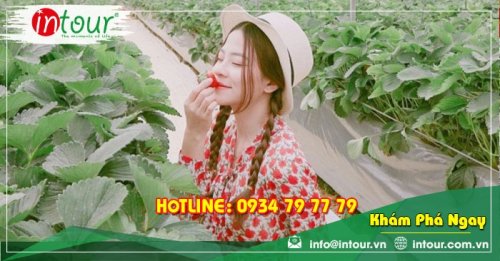 Tour giá rẻ Bắc Giang - Đà Lạt 1.680.000VNĐ (3 ngày 2 đêm)