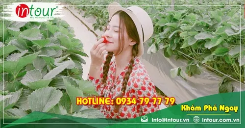 Tour giá rẻ Bắc Giang - Đà Lạt 1.680.000VNĐ (3 ngày 2 đêm)