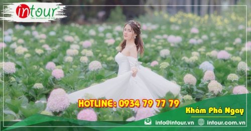 Tour giá rẻ Hà Nội - Đà Lạt 1.680.000VNĐ (3 ngày 2 đêm)