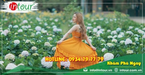 Tour giá rẻ Hải Phòng - Đà Lạt 1.680.000VNĐ KS 3* (3 ngày 2 đêm)