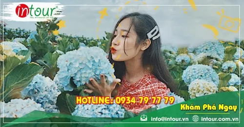 Tour giá rẻ Quảng Ninh - Đà Lạt 1.680.000VNĐ (3 ngày 2 đêm)