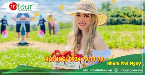 Tour giá rẻ Lạng Sơn - Đà Lạt 1.680.000VNĐ (3 ngày 2 đêm)