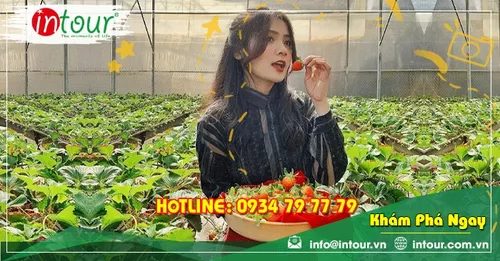 Tour giá rẻ Lào Cai - Đà Lạt 1.680.000VNĐ (3 ngày 2 đêm)