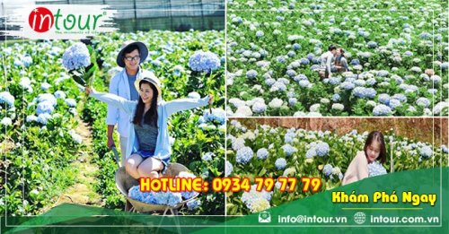 Tour giá rẻ Sơn La - Đà Lạt 1.680.000VNĐ (3 ngày 2 đêm)
