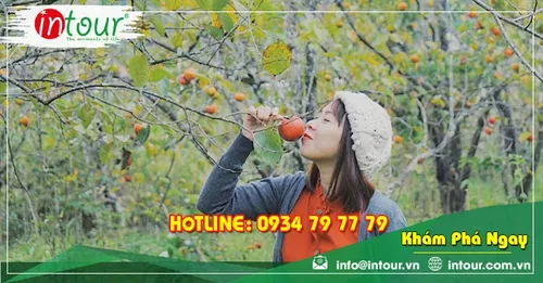 Tour giá rẻ Nam Định - Nha Trang - Đà Lạt 2.750.000VNĐ (4 ngày 3 đêm) 