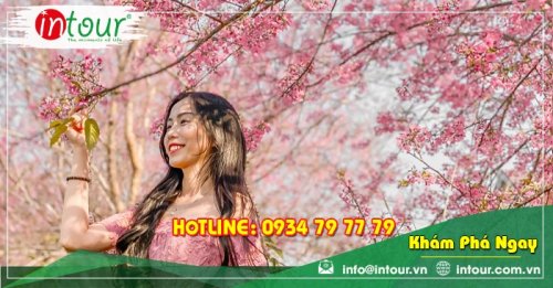 Tour giá rẻ Tuyên Quang - Nha Trang - Đà Lạt 2.750.000VNĐ (4 ngày 3 đêm)