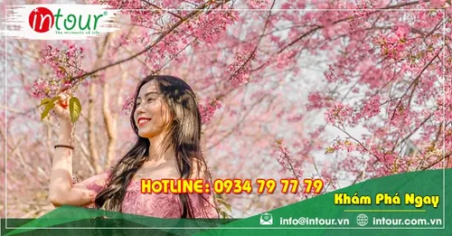 Tour giá rẻ Tuyên Quang - Nha Trang - Đà Lạt 2.750.000VNĐ (4 ngày 3 đêm)