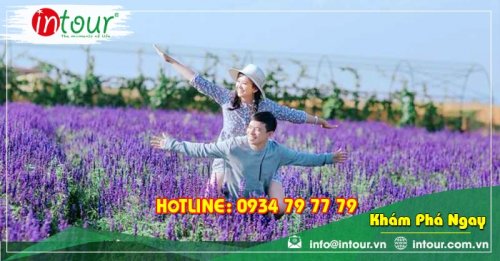 Tour giá rẻ Huế - Đà Lạt 1.680.000VNĐ (3 ngày 2 đêm) 