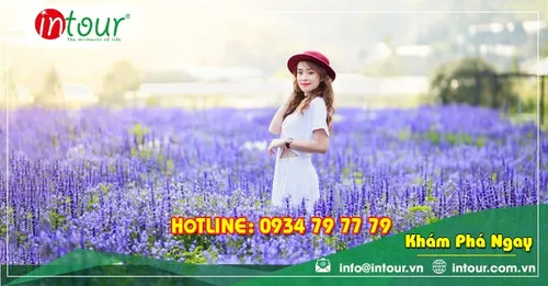 Tour giá rẻ Quảng Trị - Đà Lạt 1.680.000VNĐ (3 ngày 2 đêm)