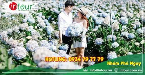 Tour giá rẻ Hà Tĩnh - Đà Lạt 1.750.000VNĐ (3 ngày 2 đêm)