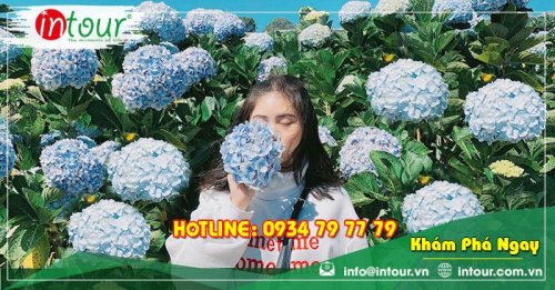 Tour giá rẻ Hải Dương - Đà Lạt 1.680.000VNĐ (3 ngày 2 đêm) 