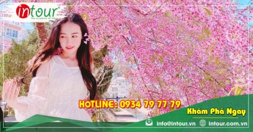 Tour Đà Lạt đi Đà Nẵng - Cù Lao Chàm - Hội An - Bà Nà - Huế 4.690.000VNĐ (5 ngày 4 đêm) 