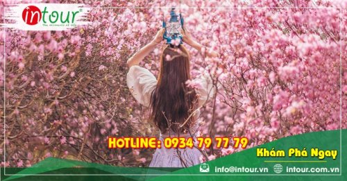 Tour Đà Lạt đi Đà Nẵng - Hội An - Bà Nà - Huế - Phong Nha 3.390.000VNĐ (4N3Đ)