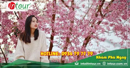 Tour Đà lạt đi Đà Nẵng - Hội An - Bà Nà - Huế 3.250.000VNĐ (4 ngày 3 đêm)