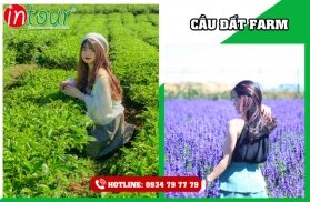 Sài Gòn nóng quá, ta trốn lên Đà Lạt thôi!