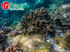 Tour Teambuilding Đảo Bình Hưng - Ninh Thuận (2 ngày 2 đêm) 