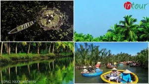 Tour giá rẻ Tiền Giang - Mỹ Tho - Bến Tre 1 ngày 390000VNĐ
