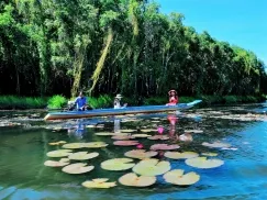 Tour Tiền Giang - Cần Thơ - Châu Đốc - Rừng Chàm Trà Sư (3N2Đ) 1790000VNĐ